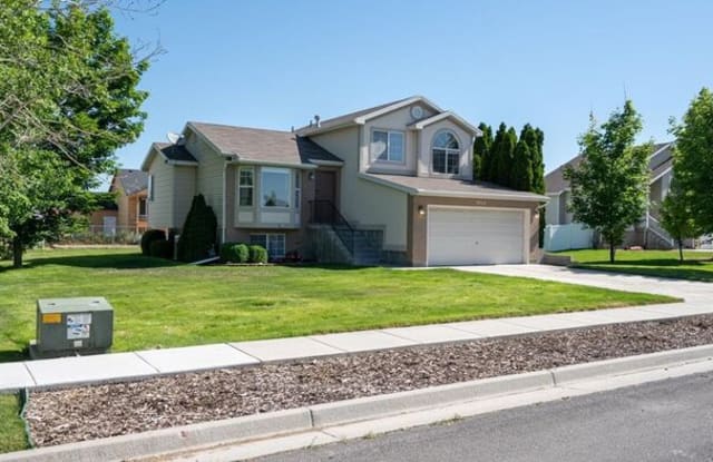 3954 975 South