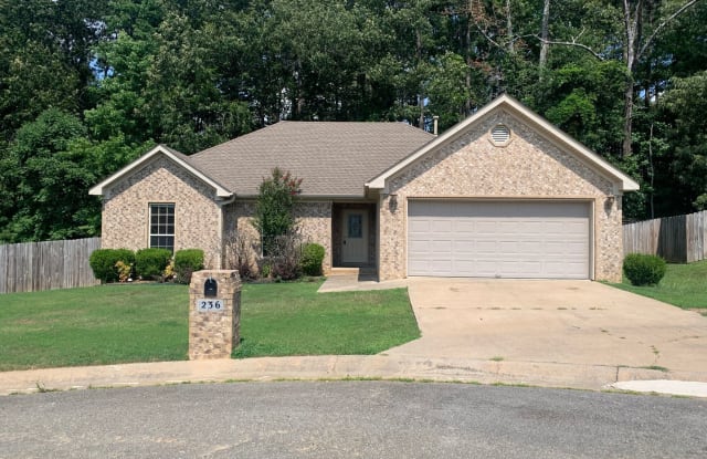 236 Autumnwood Dr - 236 Autumnwood Drive, Benton, AR 72015