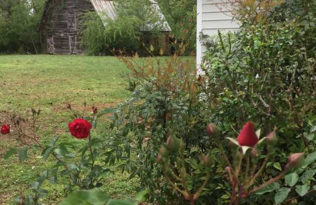 Country House on 1 Acre