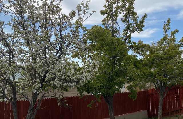 810 East Saguaro Street