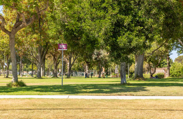 Bay Hill Apartments