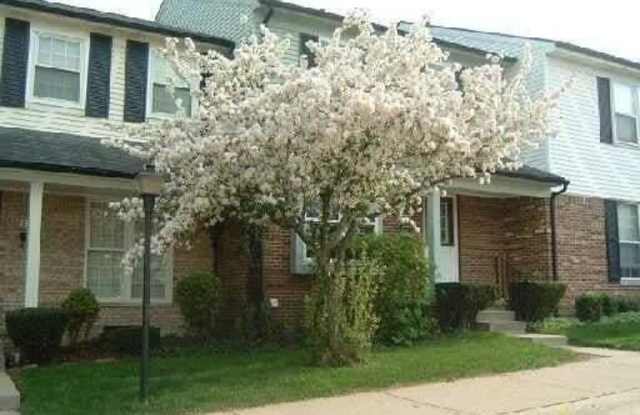 3112 Bolgos Circle