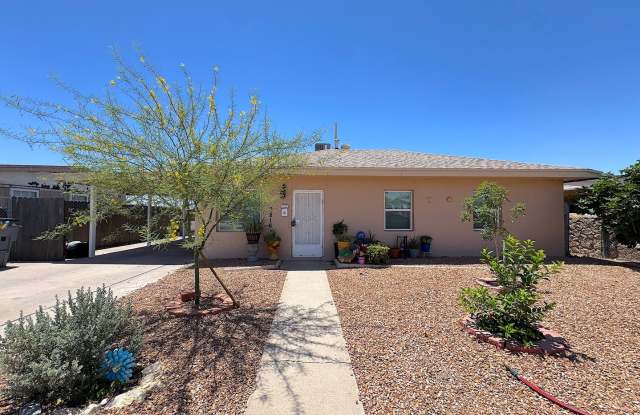 East/Central El Paso 3bed/1bath Refrig A/C with Outdoor Kitchen Oasis!