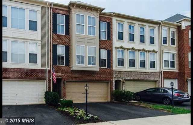 23421 SPICE BUSH Terrace