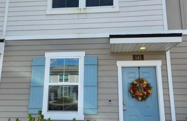 Photo of Charming 2BR Townhome in Orange Park