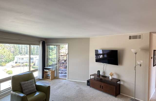 5712 Baltimore Drive #480 - 1