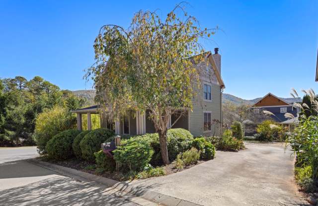 Modern Arts and Crafts Home