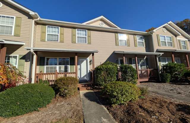 Great Location Swannanoa Townhome