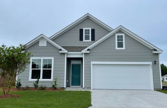 205 Saint Earl Lane - 205 Saint Earl Lane, New Hanover County, NC 28411