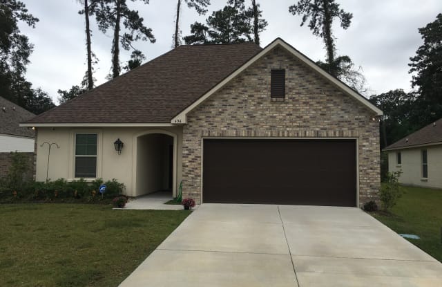 436 Tiger Ave - 436 Tiger Ave, St. Tammany County, LA 70433