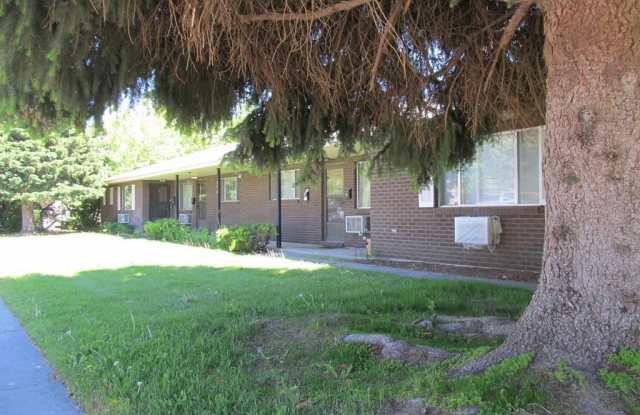 576 College Avenue