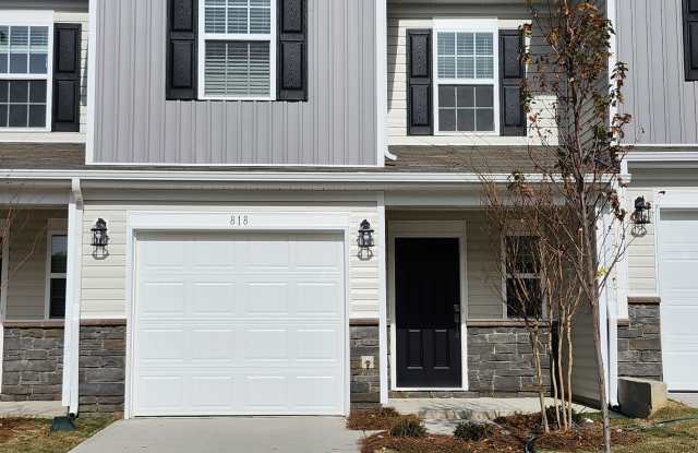 818 Powder Branch Drive - 1