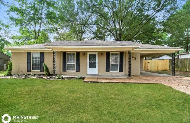 363 Easonwood Avenue - 363 Easonwood Avenue, Collierville, TN 38017