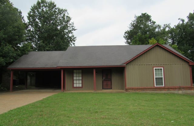 4379 Hunt Cliff Trce - 4379 Hunt Cliff Trace, Shelby County, TN 38128