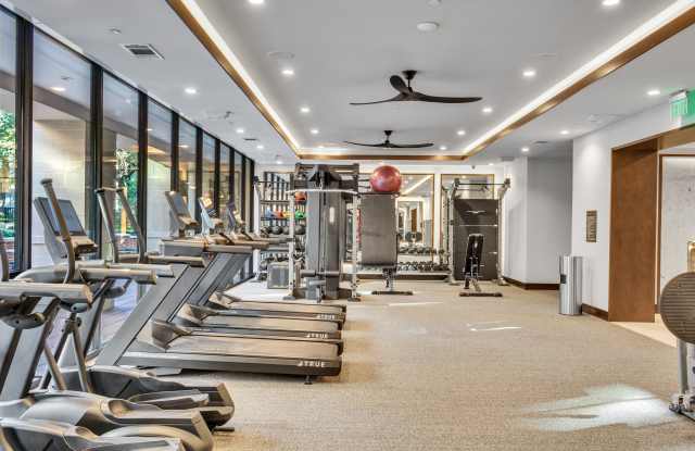 The Park at Katy Trail