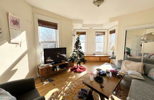 Photo of 31 Hillside St #3C Boston MA 02120