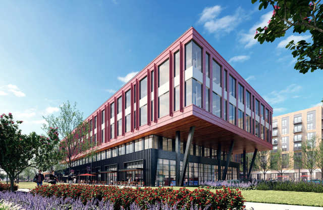 Photo of The Wayward