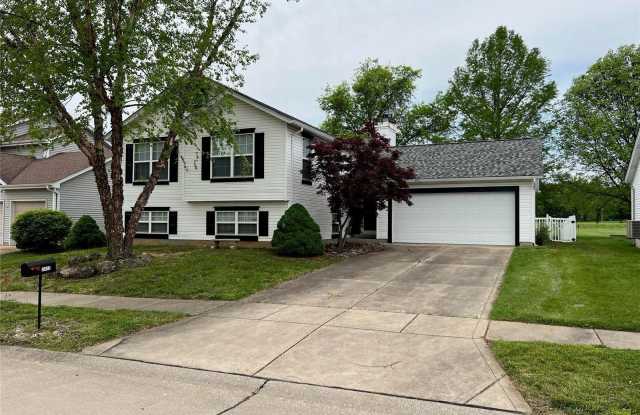 2413 Black Pine Court - 2413 Black Pine Court, St. Louis County, MO 63031