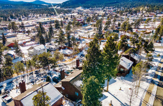 271 East Lake Avenue - 1