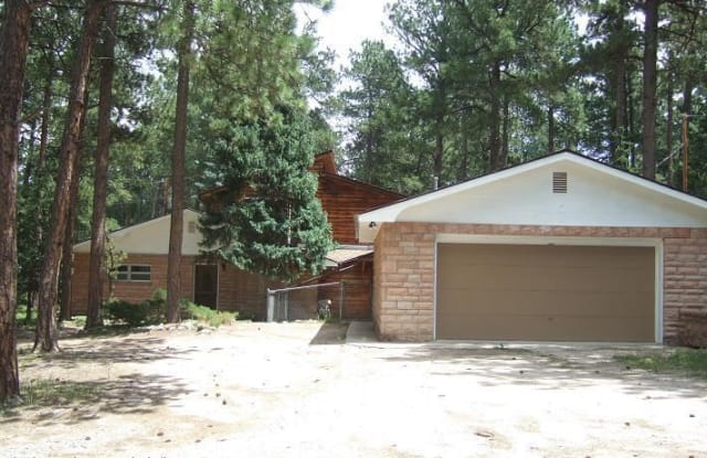 6735 Burrows Rd - 6735 Burrows Road, Black Forest, CO 80908