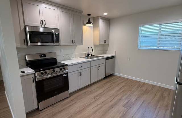 Large Brand New Remodeled 1 Bedroom unit with Washer Dryer Hookups - MUST SEE!!!