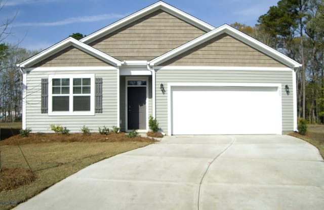 9807 Wooden Pestle Way - 9807 Wooden Pestle Way, North Charleston, SC 29456