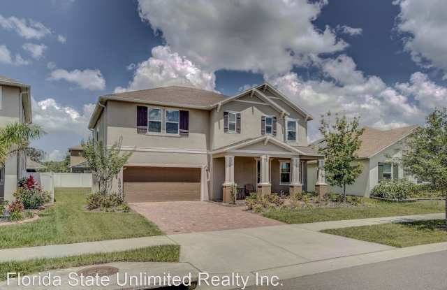 11425 Brighton knoll loop - 11425 Brighton Knoll Loop, Riverview, FL 33579