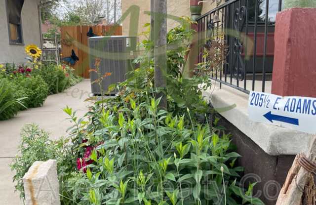 205 1/2 E Adams Ave