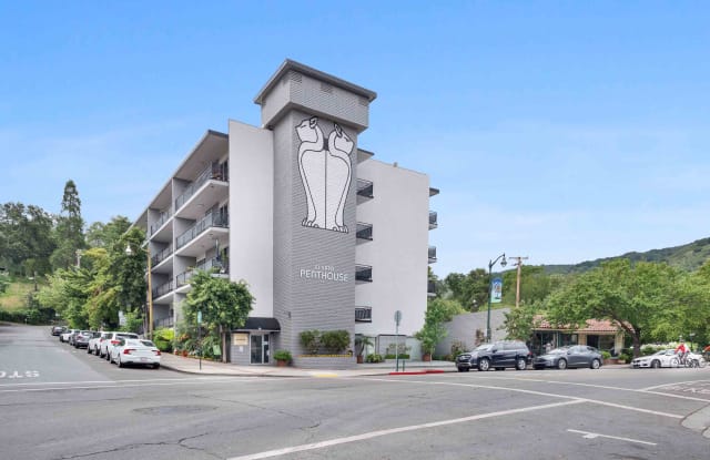 Photo of El Gato Penthouse