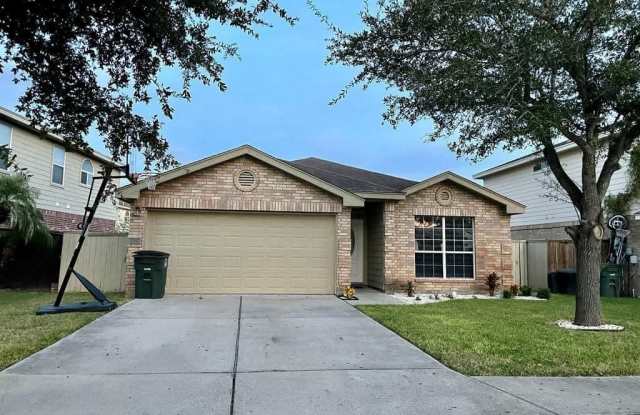 4205 Santa Inez Street - 4205 Santa Inez Street, Mission, TX 78572