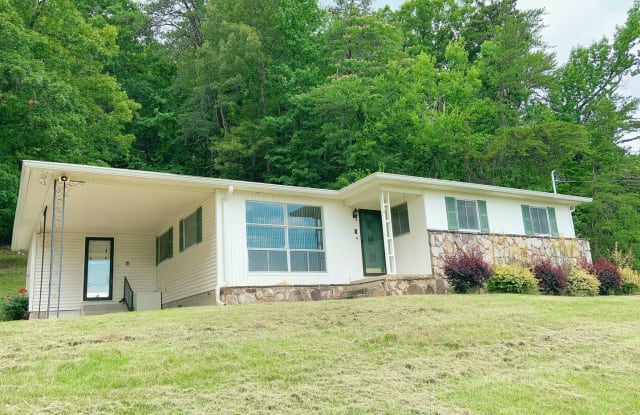 1013 Mountain Creek Rd - 1013 Mountain Creek Road, Chattanooga, TN 37405