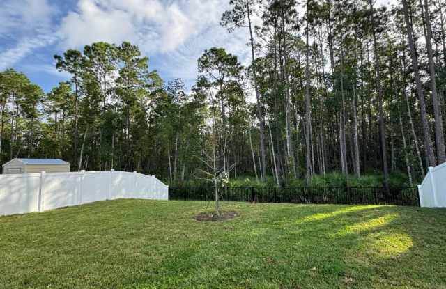 Photo of Like New 4/2 St. Augustine