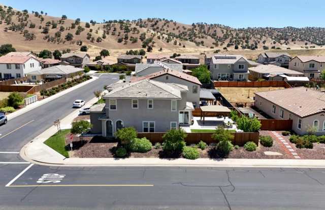 NOW AVAILABLE!! BEAUTIFUL HOME IN GATED COMMUNITY OF PATTERSON