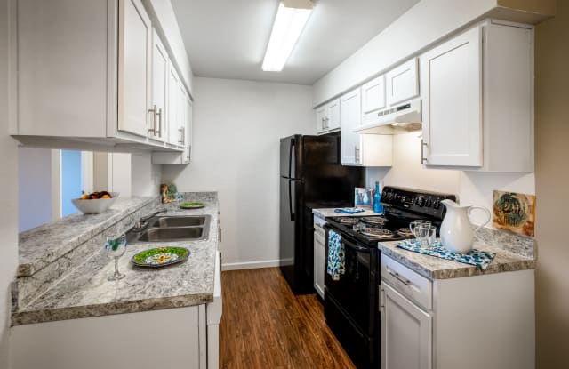 Photo of Stassney at SoCo