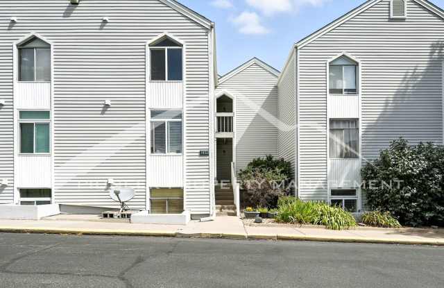 Spacious Condo with Central AC and Patio