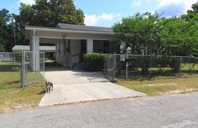 1117 SE PUTNAM ST. - 1117 Southeast Putnam Street, Lake City, FL 32025