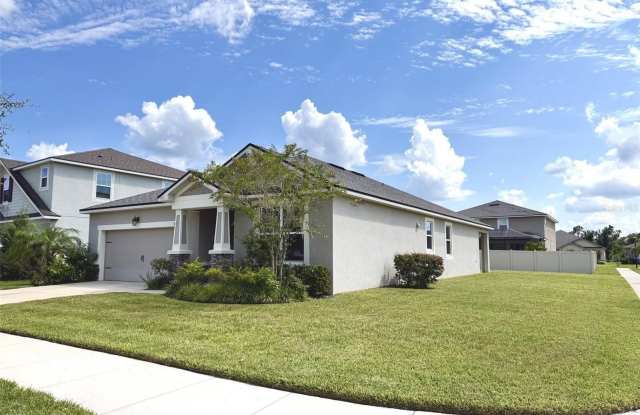 11409 BLUE WOODS DRIVE