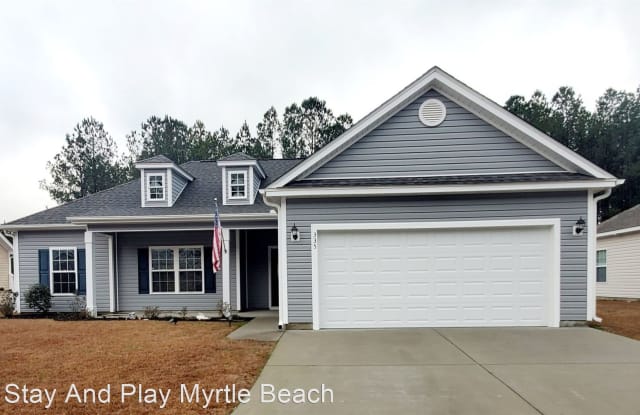 335 Marino Trail - 335 Marino Trail, Horry County, SC 29568