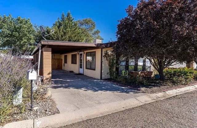 370 Randon Ct - 370 Randon Court, Fernley, NV 89408