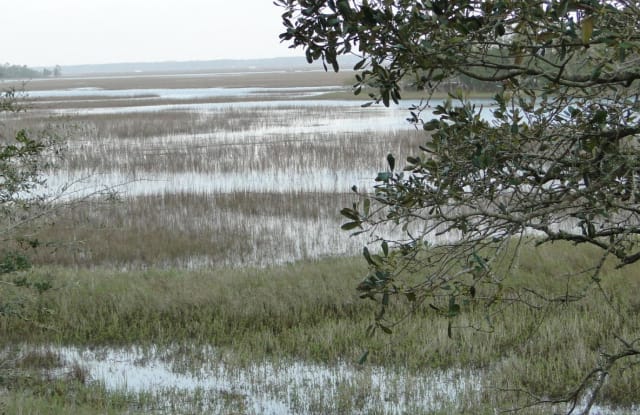 30 Marsh Island Lane - 30 Marsh Island Lane, Isle of Palms, SC 29451