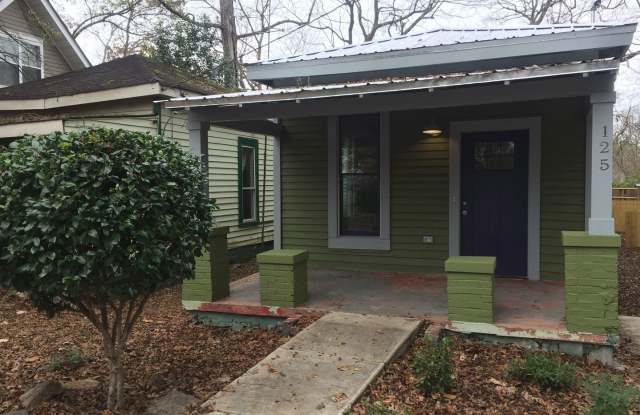 125 Franklin Street - 125 North Franklin Street, Athens, GA 30606