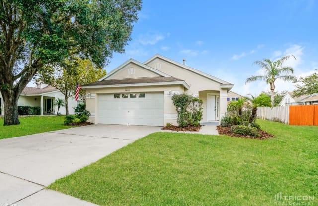 24135 Royal Fern Drive - 24135 Royal Fern Drive, Land O' Lakes, FL 33559