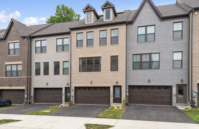 3509 Stella Blue Drive - 1