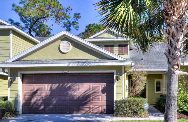 20119 WEEPING LAUREL PLACE