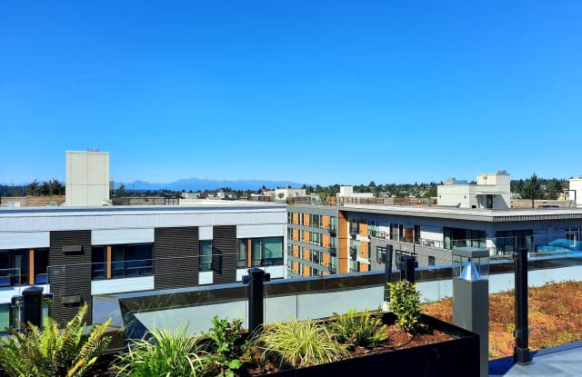 Our Newest Luxury Studios in Ballard!