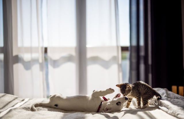 The Preserve At Harbison Vacaville Ca Apartments For Rent