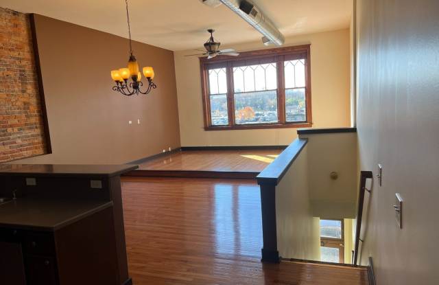 26 E Downer Place unit: B