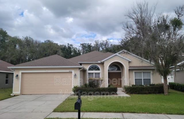 6850 Pine Springs Dr - 6850 Pine Springs Dr, Pasadena Hills, FL 33545