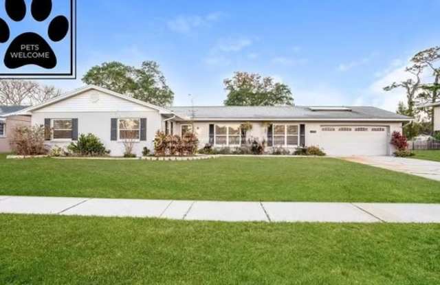 205 Donatello Drive - 205 Donatello Drive, Brandon, FL 33511