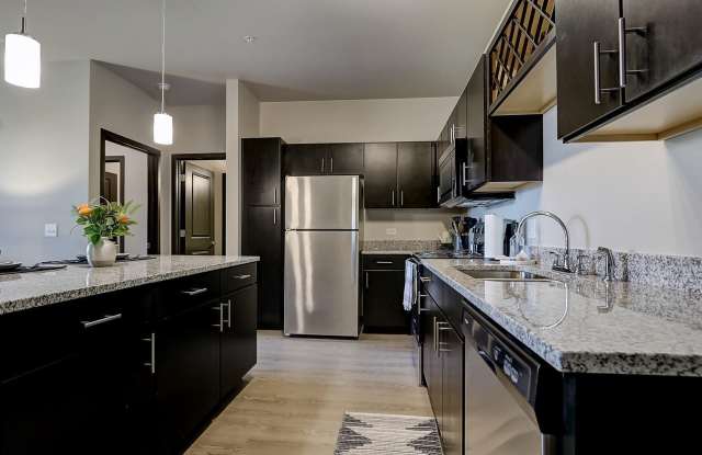 Springs at Lily Cache Creek